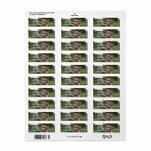 Schattige Rhodesian Ridgeback Etiket (Full Sheet)