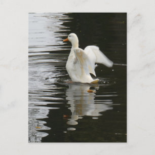 Schattige Rising Duck DIY Briefkaart