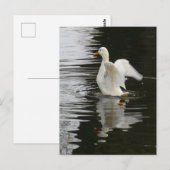 Schattige Rising Duck DIY Briefkaart (Voorkant / Achterkant)