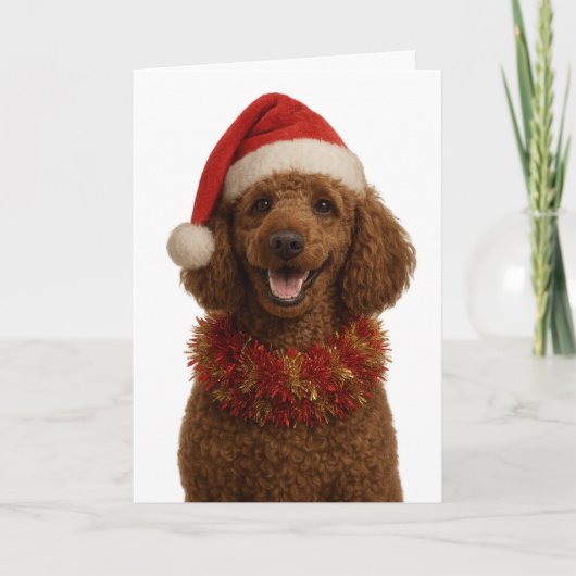Schattige rode / bruine Poodle kerstkaart Kaart (Voorkant)