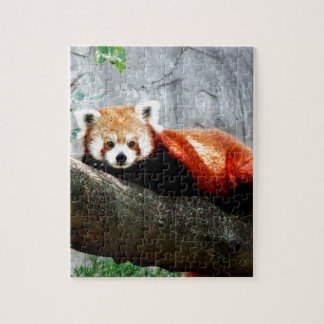 schattige rode hond legpuzzel