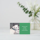 Schattige rode hond met een groene kraag visitekaartje (Staand voorkant)