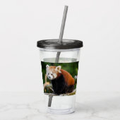 Schattige Rode Panda Acryl Drinkbeker (Achterkant)