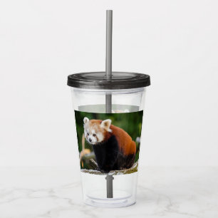 Schattige Rode Panda Acryl Drinkbeker