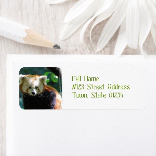 Schattige rode panda Adresetiketten Etiket (Insitu)