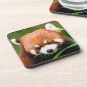 Schattige Rode Panda Bier Onderzetter (Linkerzijde)