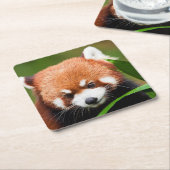 Schattige Rode Panda Kartonnen Onderzetters (Schuin)