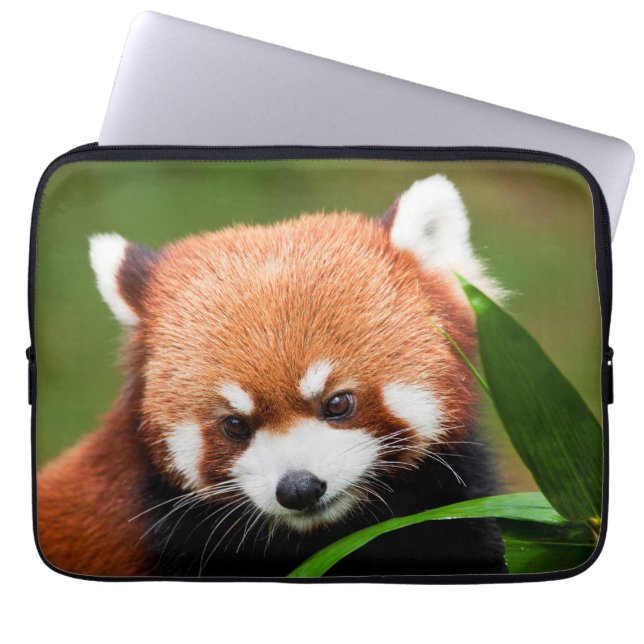 Schattige Rode Panda Laptop Sleeve (Voorkant)