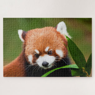 Schattige Rode Panda Legpuzzel