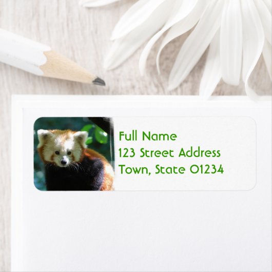Schattige rode panda mailinglabels etiket (Insitu)