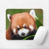 Schattige Rode Panda Muismat (Met muis)