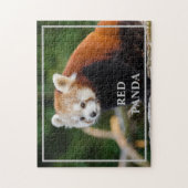 Schattige rode panda natuurfoto legpuzzel (Verticaal)