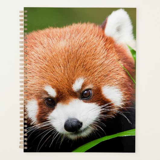 Schattige Rode Panda Planner (Voorkant)