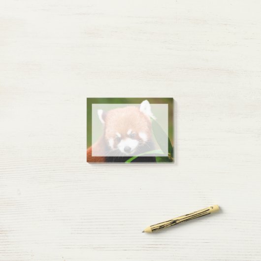 Schattige Rode Panda Post-it® Notes (Op bureau)