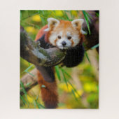 Schattige Rode Panda Puzzle  Legpuzzel (Verticaal)