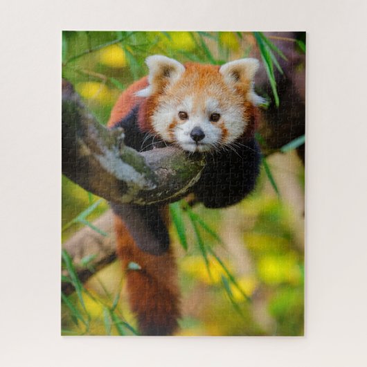 Schattige Rode Panda Puzzle  Legpuzzel (Verticaal)