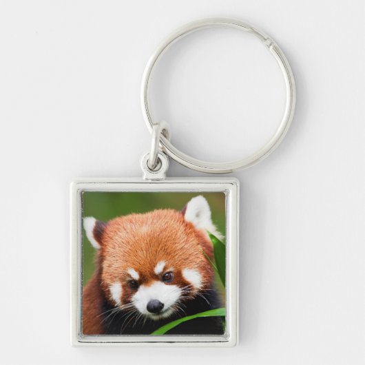 Schattige Rode Panda Sleutelhanger (Voorkant)