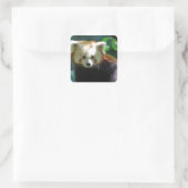 Schattige rode panda Stickers (Tas)