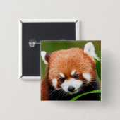Schattige Rode Panda Vierkante Button 5,1 Cm (Voorkant /achterkant)