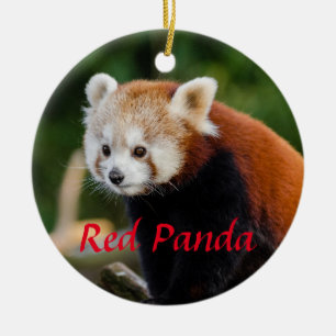 Schattige Rode Panda Vuur Vos Keramisch Ornament
