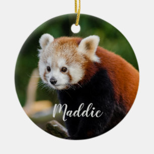Schattige Rode Panda Vuur Vos Persoonlijk Keramisch Ornament
