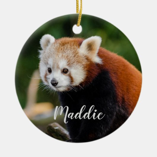 Schattige Rode Panda Vuur Vos Persoonlijk Keramisch Ornament (Voorkant)