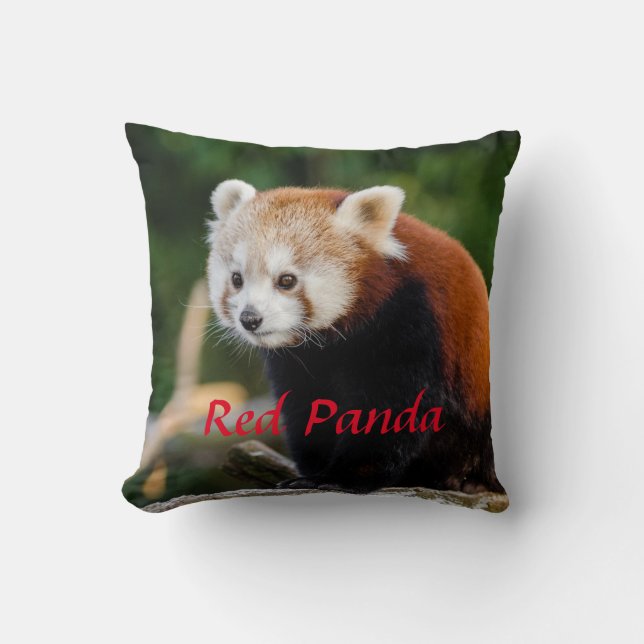 Schattige Rode Panda Wilde Natuur Rood Tekst Kussen (Voorkant)