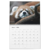 Schattige rode panda's 2026 kalender (Mar 2026)
