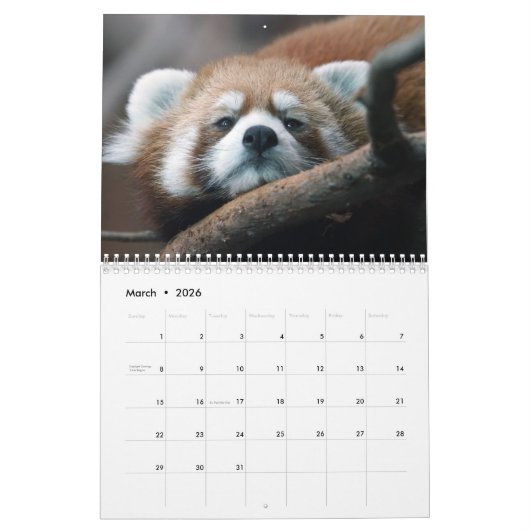 Schattige rode panda's 2026 kalender (Mar 2026)