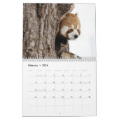 Schattige rode panda's 2026 kalender (Feb 2026)