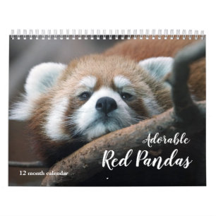 Schattige rode panda's 2026 kalender