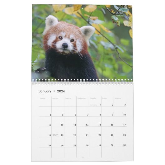 Schattige rode panda's 2026 kalender (Jan 2026)