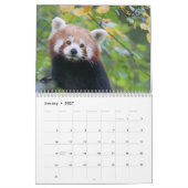 Schattige rode panda's 2026 kalender (Jan 2027)