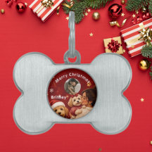 Schattige rode scharlaken kerst hond naam foto