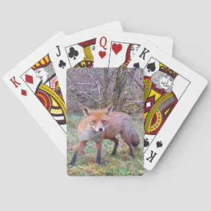 Schattige Rode Vos Herfst Natuur Geïnspireerde Fam Pokerkaarten