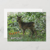 Schattige Roe Deer in Forrest Cust. Verjaardag Bri Briefkaart (Voorkant / Achterkant)
