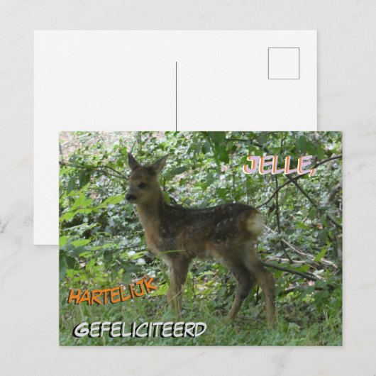 Schattige Roe Deer in het Forrest Birthday Briefka Briefkaart (Voorkant / Achterkant)