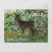 Schattige Roe Deer in het Forrest Birthday Briefka Briefkaart (Voorkant)