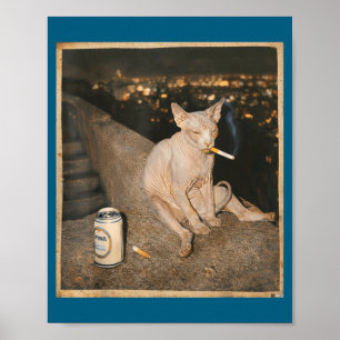 Schattige Roken Sphynx Kat Meme Grappig Poster