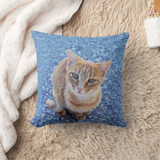 Schattige rood kitten op blauw kussen (Deken)