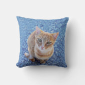 Schattige rood kitten op blauw kussen (Voorkant)