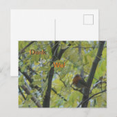 Schattige roodborst in boom Bedankpostkaart Briefkaart (Voorkant / Achterkant)