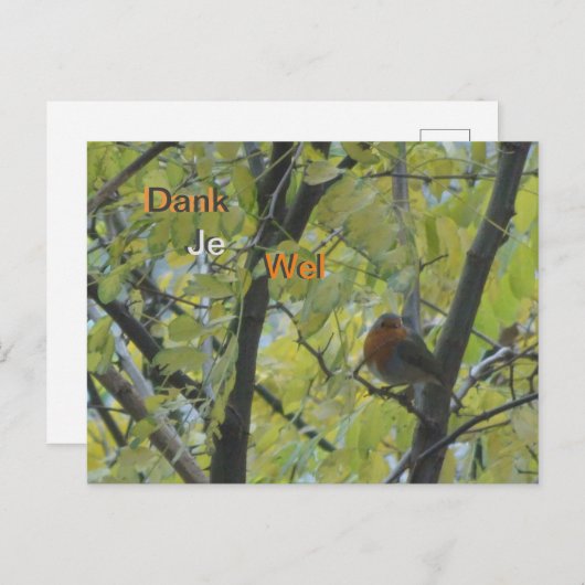 Schattige Roodborst in Boom Dank Je Postkaart (Voorkant / Achterkant)