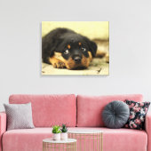 Schattige rottweiler canvas afdruk (Insitu (Woonkamer))
