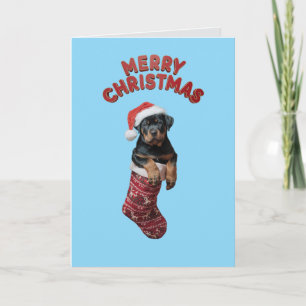 Schattige Rottweiler Hond Kerstmis  Kaart