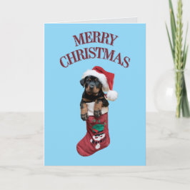 Schattige Rottweiler Kerst Feestdagen Kaart