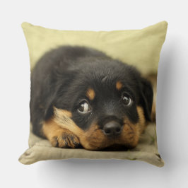 Schattige rottweiler kussen