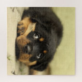 Schattige rottweiler legpuzzel (Horizontaal)