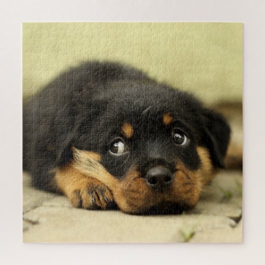 Schattige rottweiler legpuzzel (Verticaal)