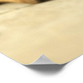 Schattige rottweiler poster (Hoek)